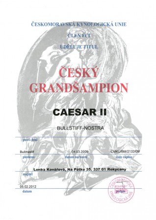 Bullstiff-Nostra Caesar II - Český Grand šampion